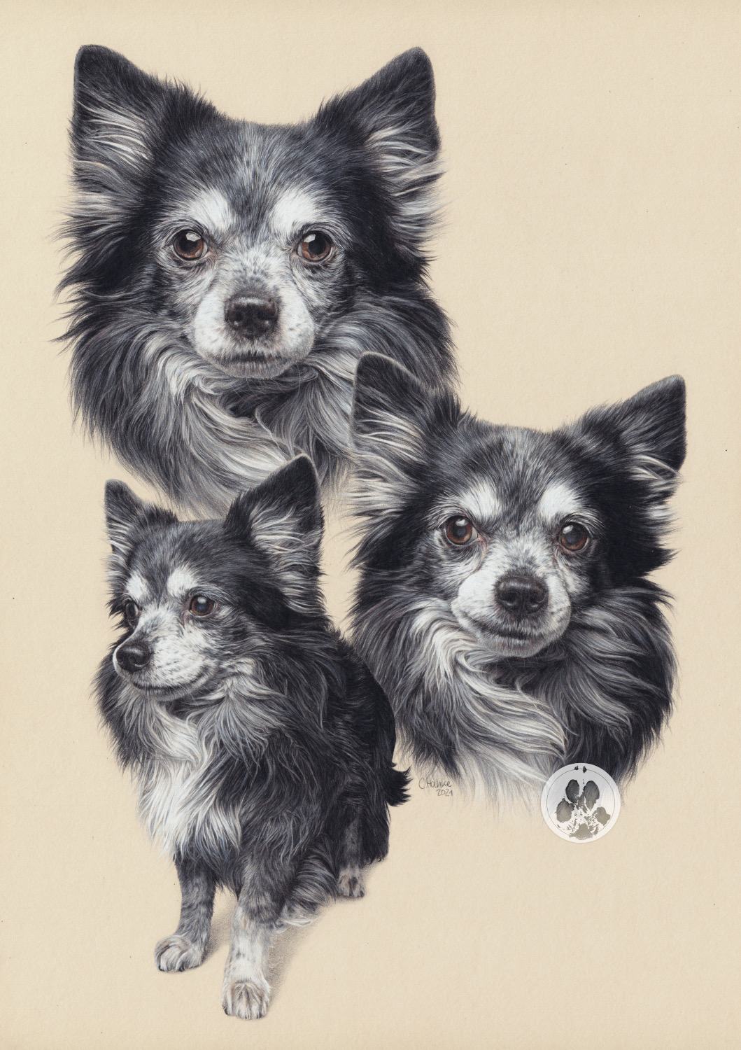 Beagle, Zeichnung, Buntstift, Paint On, Clairefontaine, blauer Hintergrund, zeichnen, Porträt, Hundeporträt, Portrait