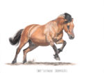 Buntstiftzeichnung von einem Pferd im Galopp