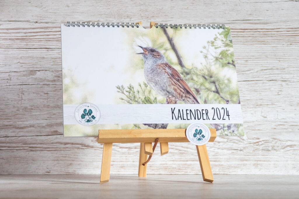 Nochmal reduziert! Kalender 2024 Christina Hanke