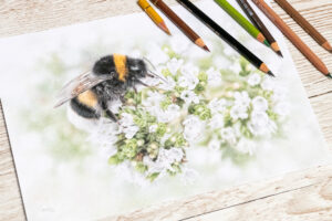 Eine Erdhummel, gezeichnet mit Buntstiften.